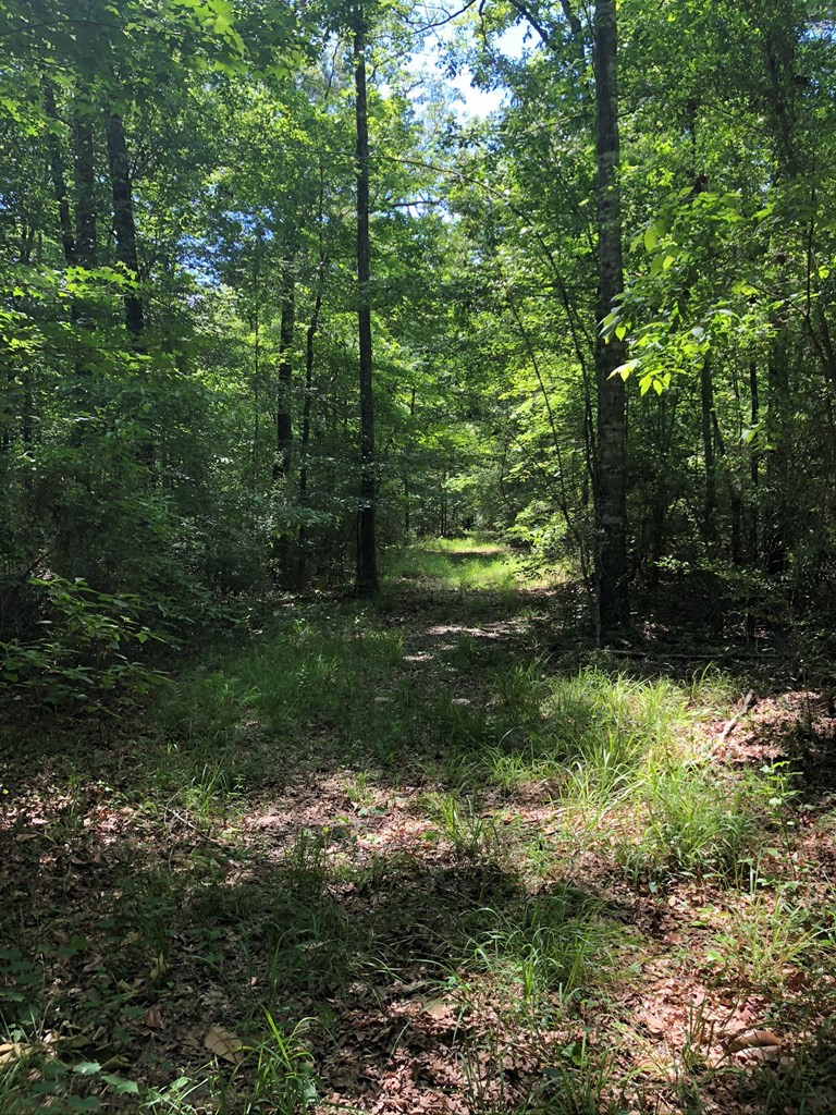 1568 Brumfield Road Southwest Bogue Chitto, MS 39629 - Photo 22 of 30 Photo 22