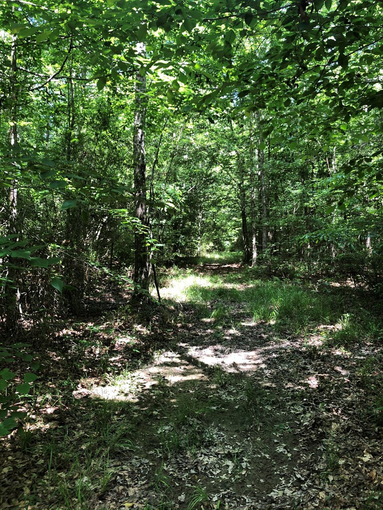 1568 Brumfield Road Southwest Bogue Chitto, MS 39629 - Photo 25 of 30 Photo 25