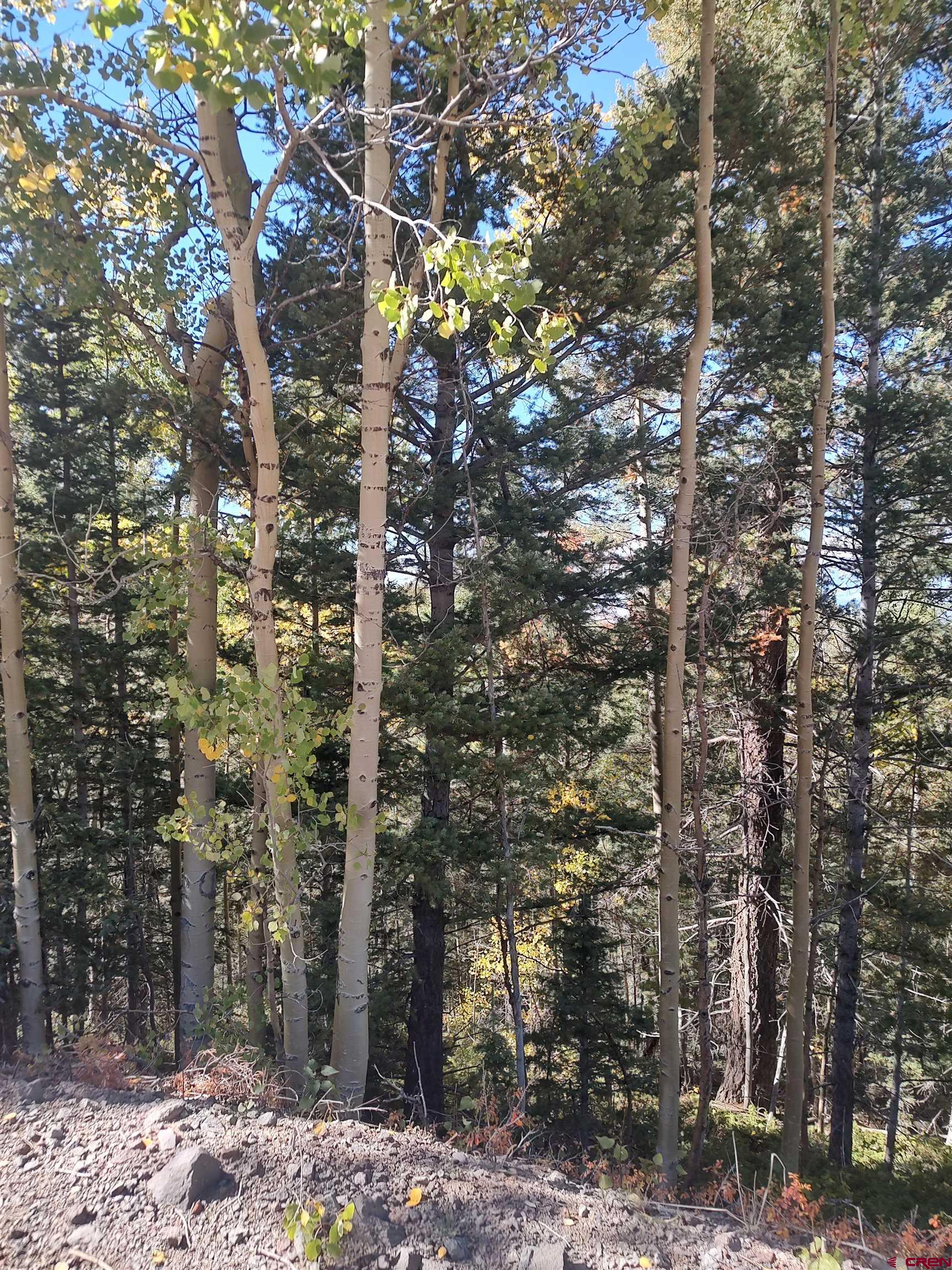 5374 Adams Road Fort Garland, CO 81133 - Photo 5 of 11