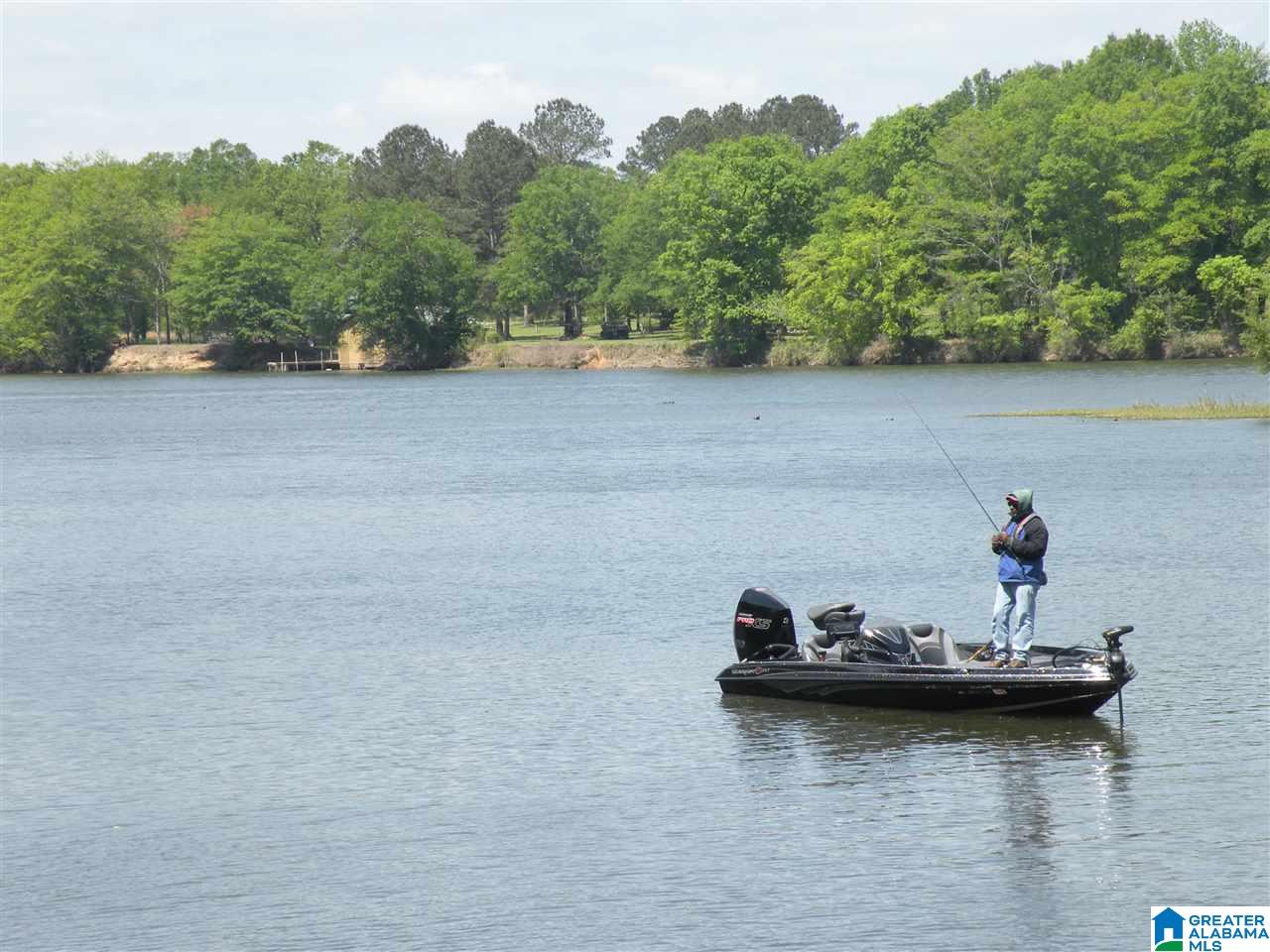 141 River Run Road Childersburg, AL 35044 - Photo 31 of 39
