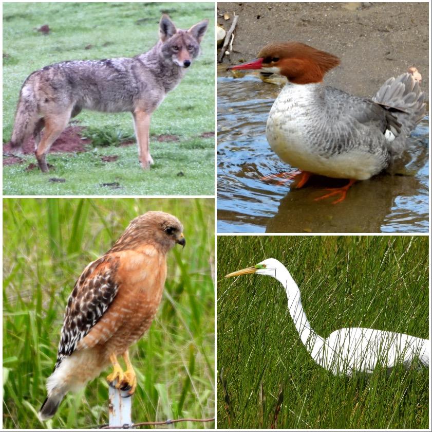 4550 Roop Road Gilroy, CA 95020 - Photo 18 of 91