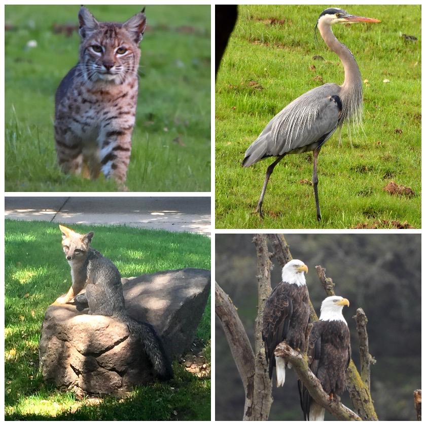 4550 Roop Road Gilroy, CA 95020 - Photo 36 of 91