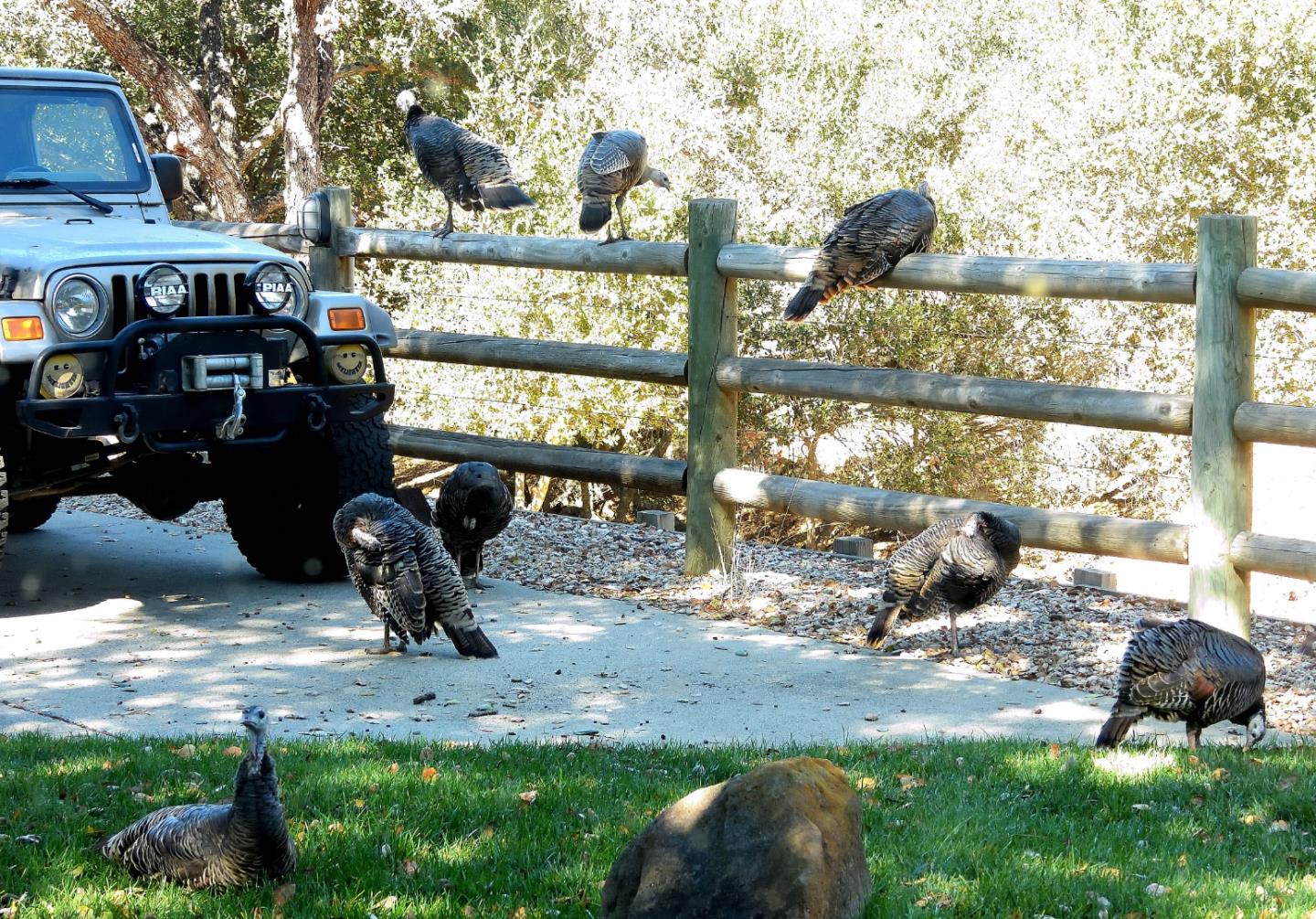 4550 Roop Road Gilroy, CA 95020 - Photo 45 of 91