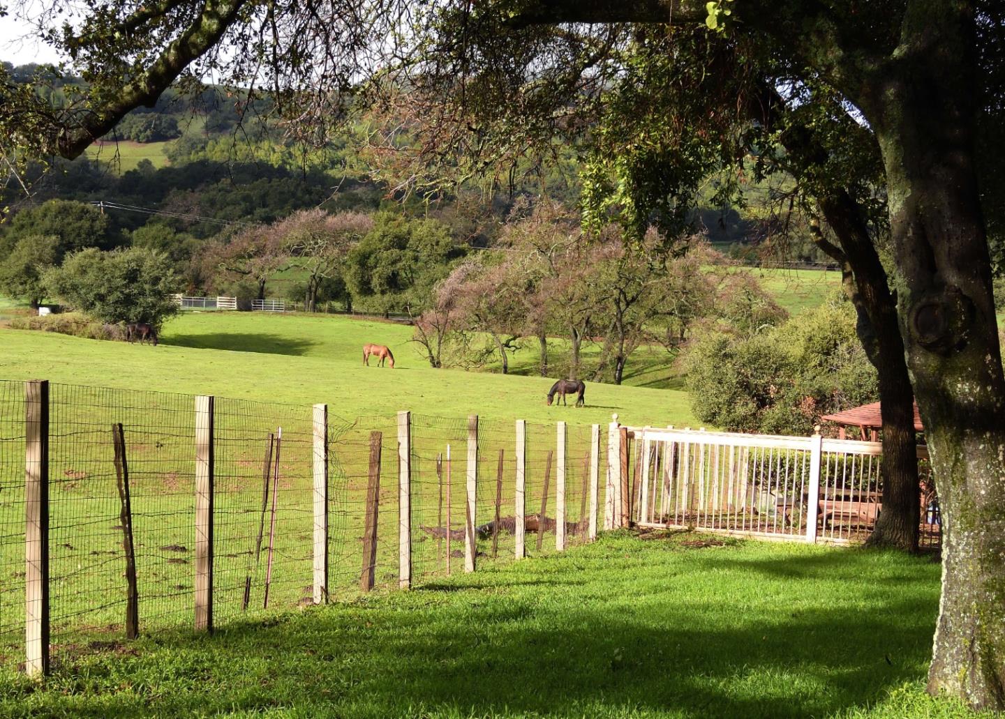 4550 Roop Road Gilroy, CA 95020 - Photo 69 of 91