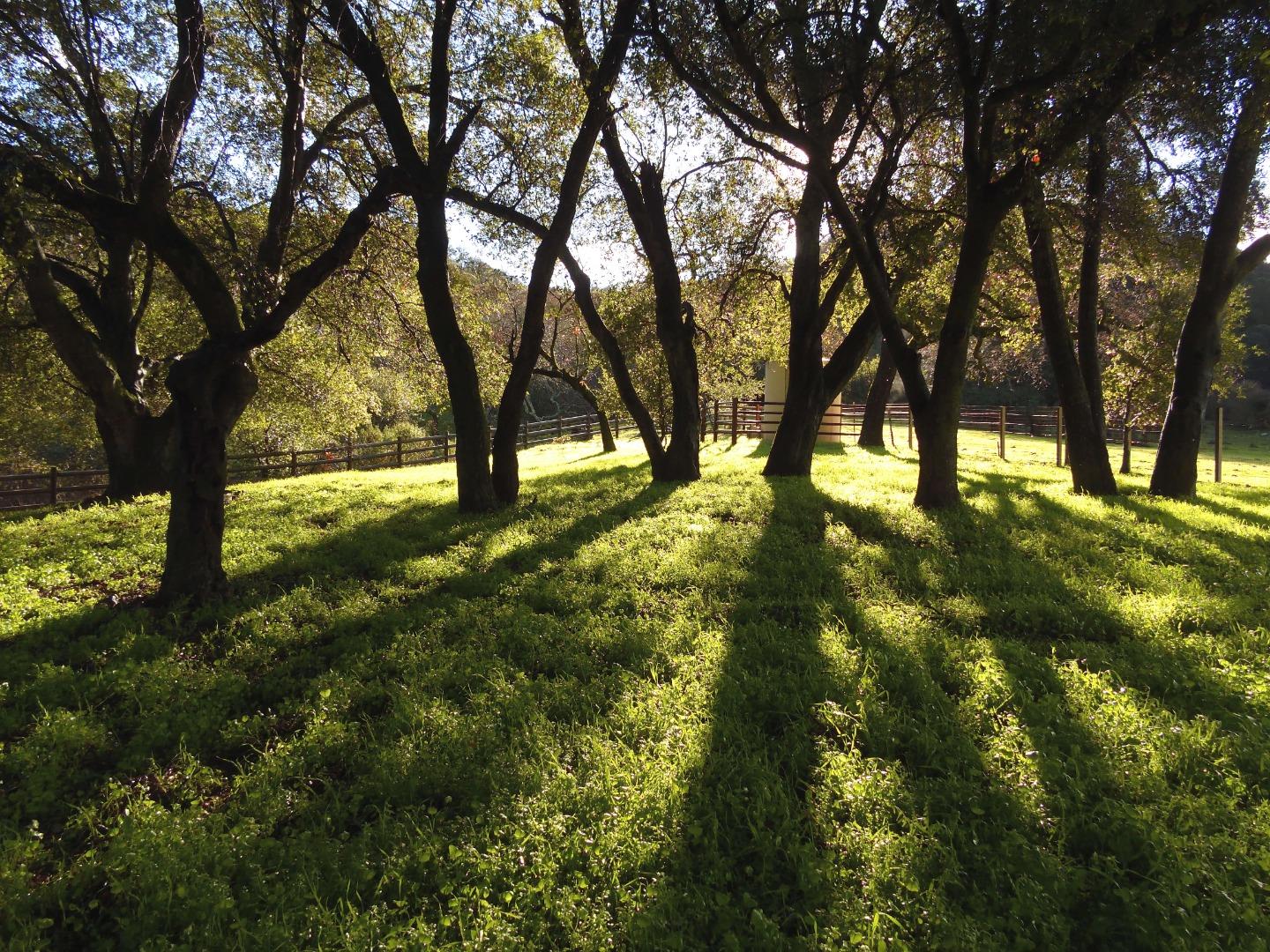 4550 Roop Road Gilroy, CA 95020 - Photo 79 of 91