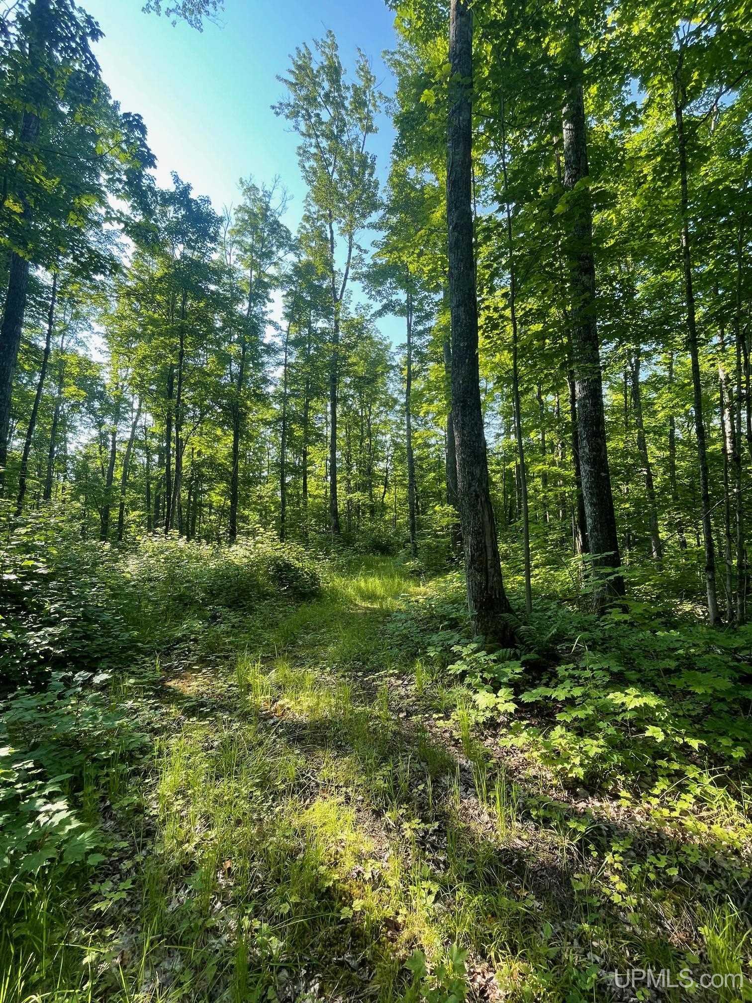 Tbd A Off Gay Road Lake Linden, MI 49945 - Photo 9 of 15