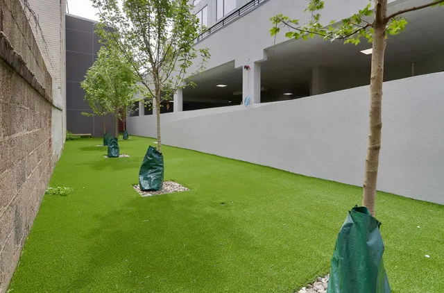 a backyard of a house with lots of green space