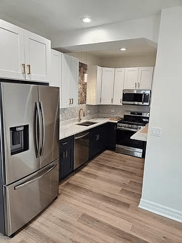 1013 West 18th Place Chicago, IL 60608 - Photo 4 of 49