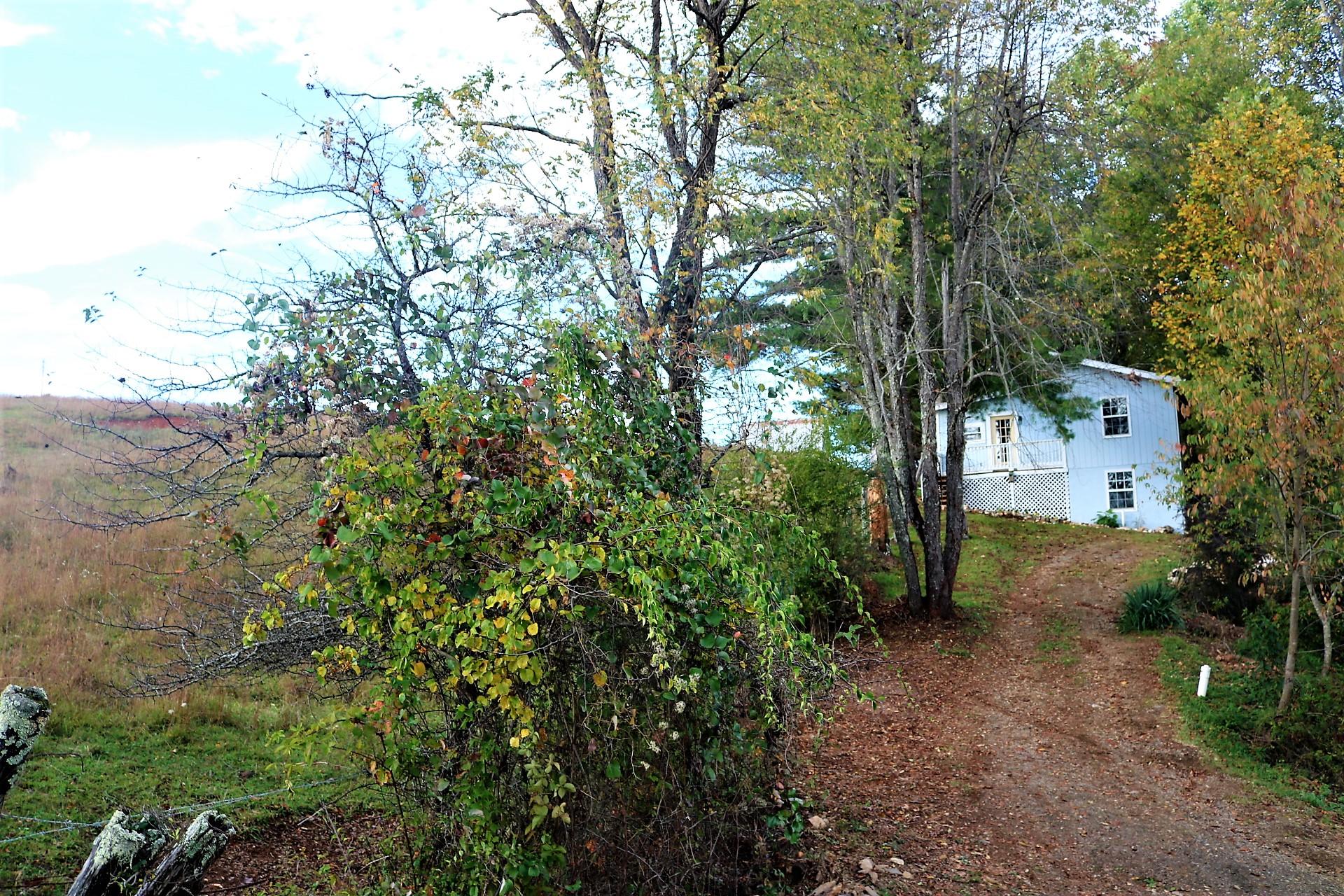 174 Spring Dale Road Southwest Floyd, VA 24091 - Photo 2 of 37 a view of a yard with plants and large trees