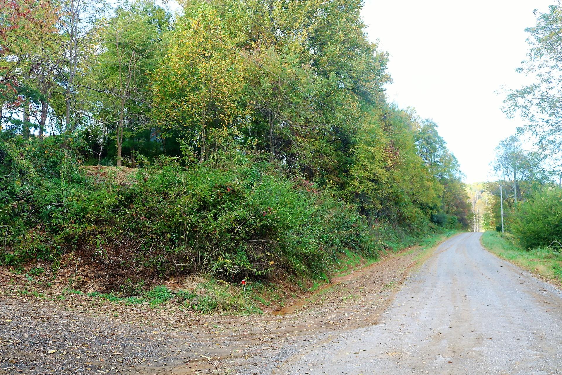 174 Spring Dale Road Southwest Floyd, VA 24091 - Photo 11 of 37 a view of a street view
