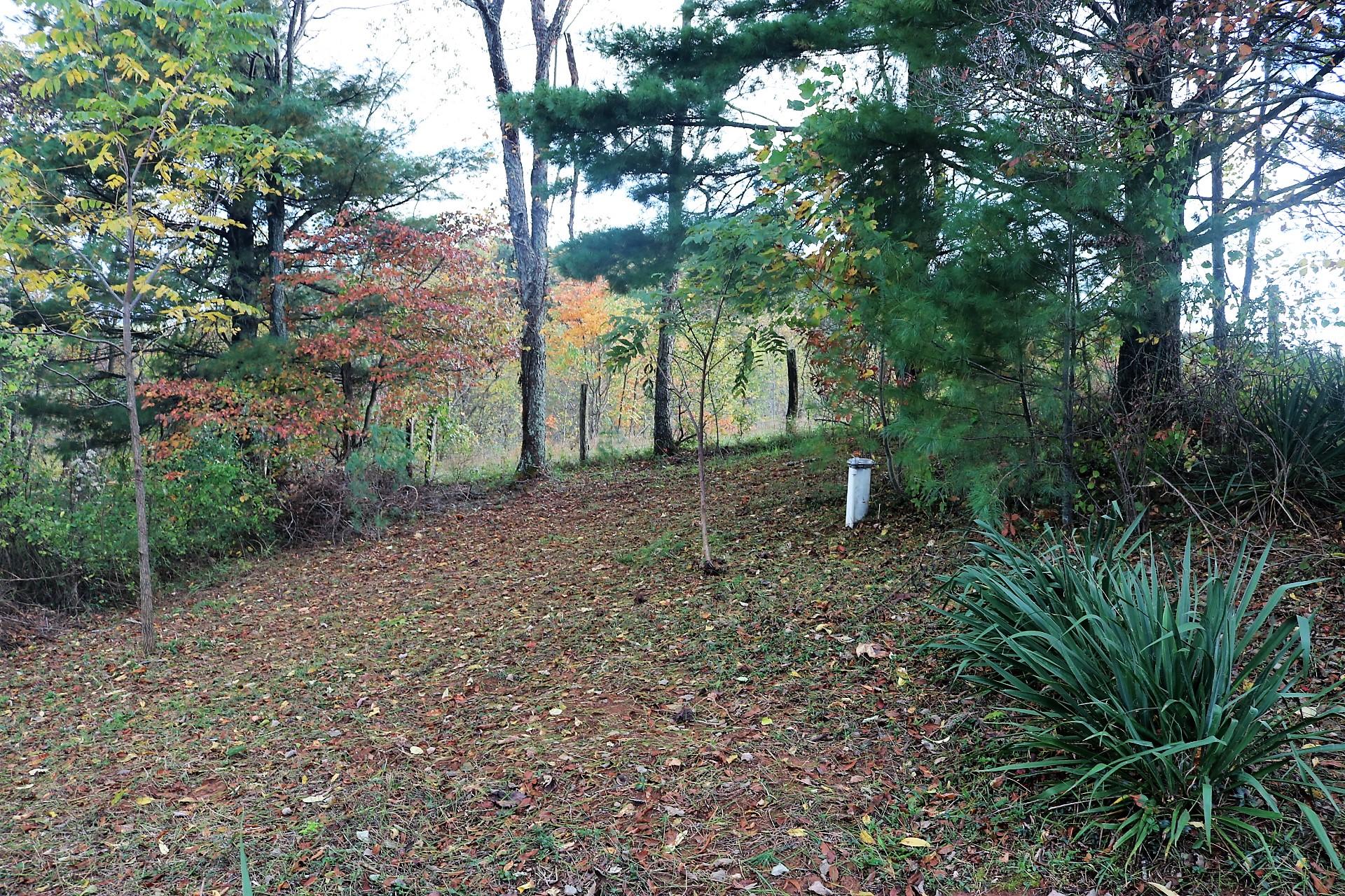 174 Spring Dale Road Southwest Floyd, VA 24091 - Photo 14 of 37 a view of a outdoor space and trees