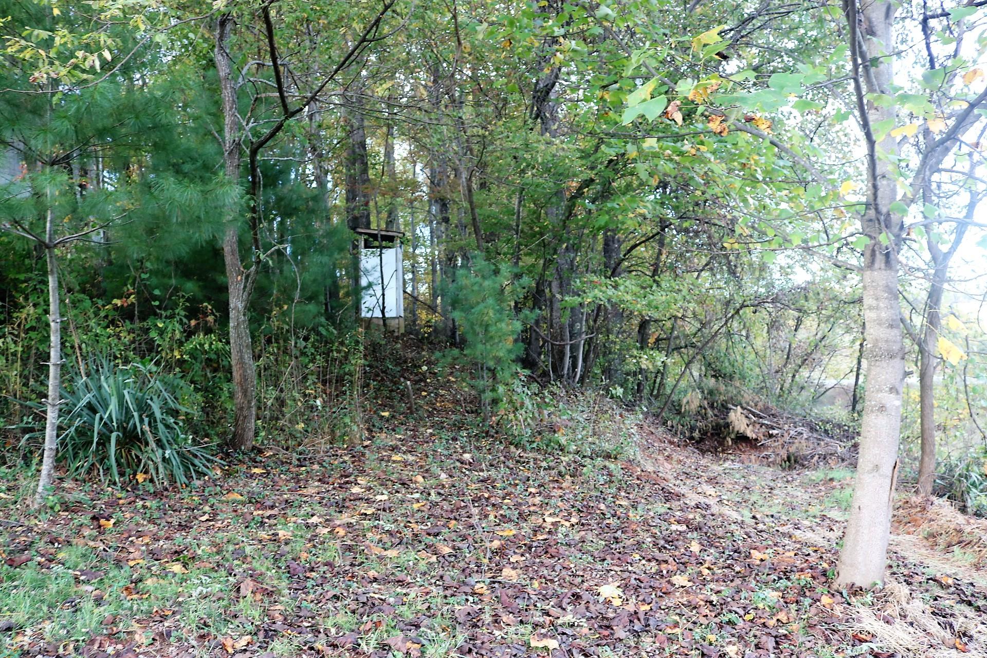 174 Spring Dale Road Southwest Floyd, VA 24091 - Photo 16 of 37 a view of a forest filled with trees