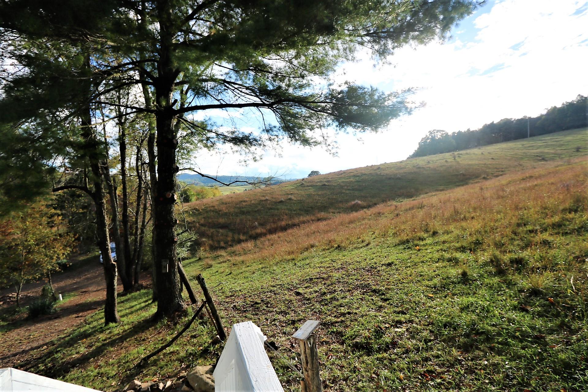 174 Spring Dale Road Southwest Floyd, VA 24091 - Photo 19 of 37 a view of a yard with an trees