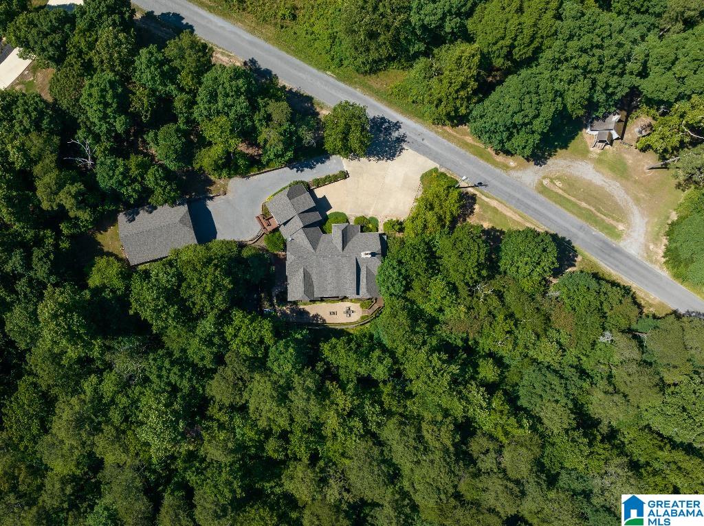 1300 Lake Road Oneonta, AL 35121 - Photo 52 of 55