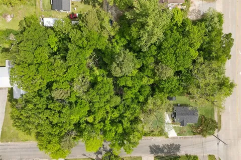 a view of a yard with plants