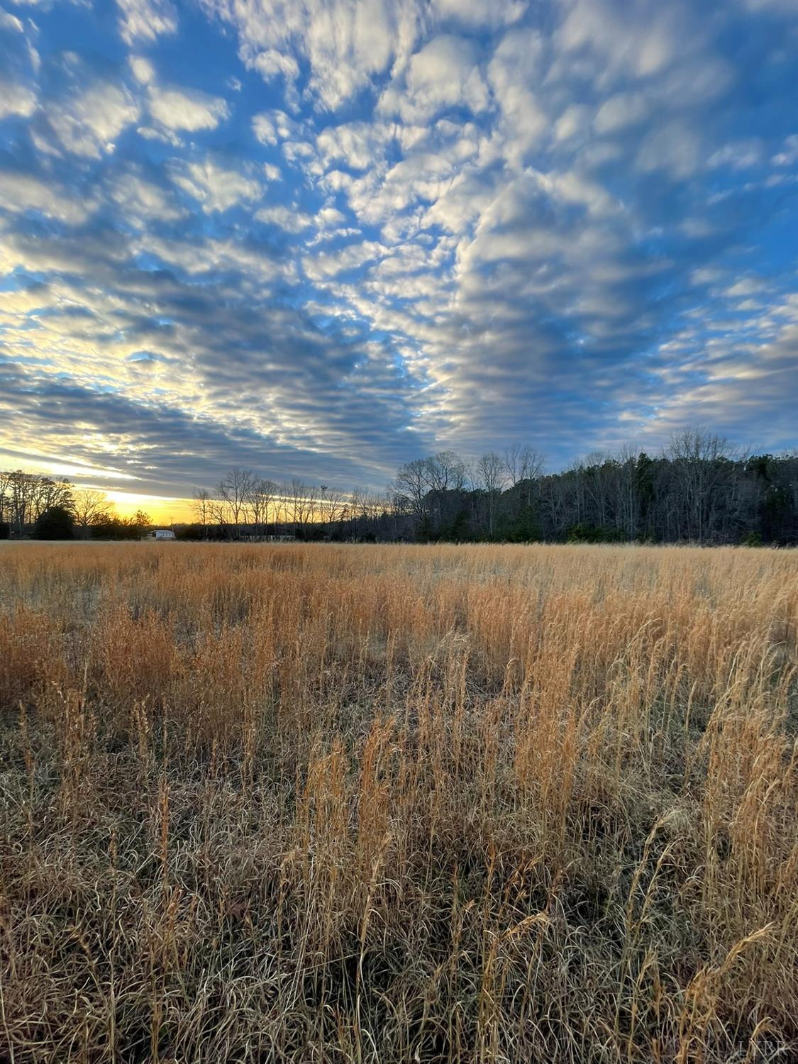12 Sugar Hill Road Brookneal, VA 24528 - Photo 11 of 12