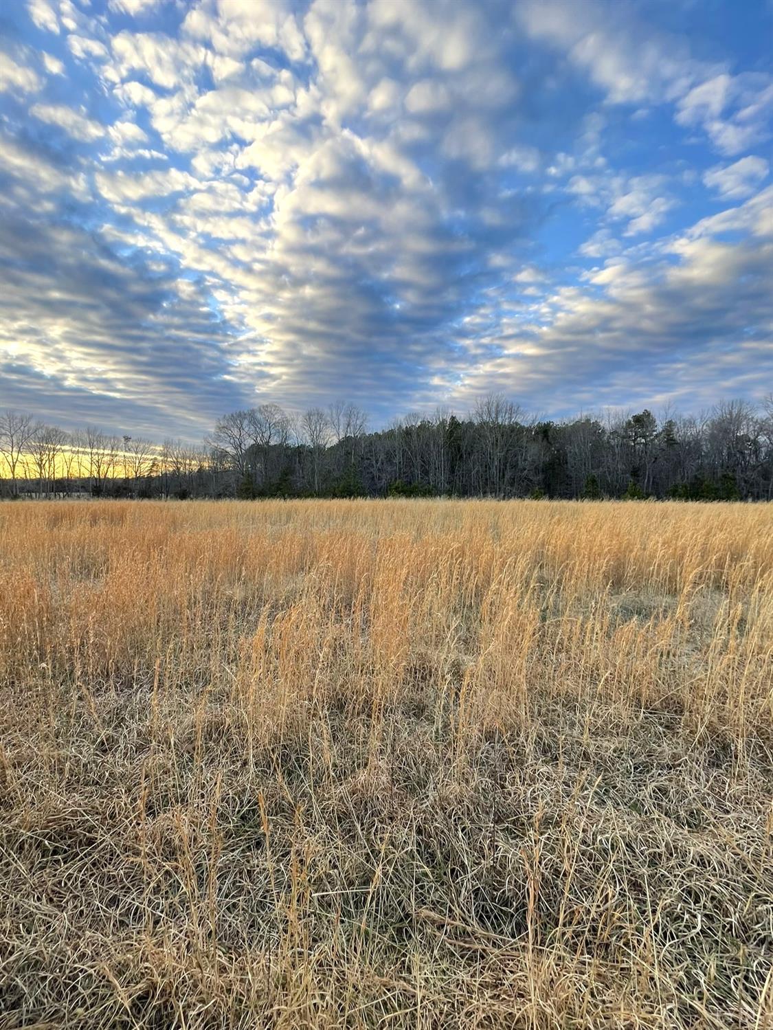 12 Sugar Hill Road Brookneal, VA 24528 - Photo 2 of 12