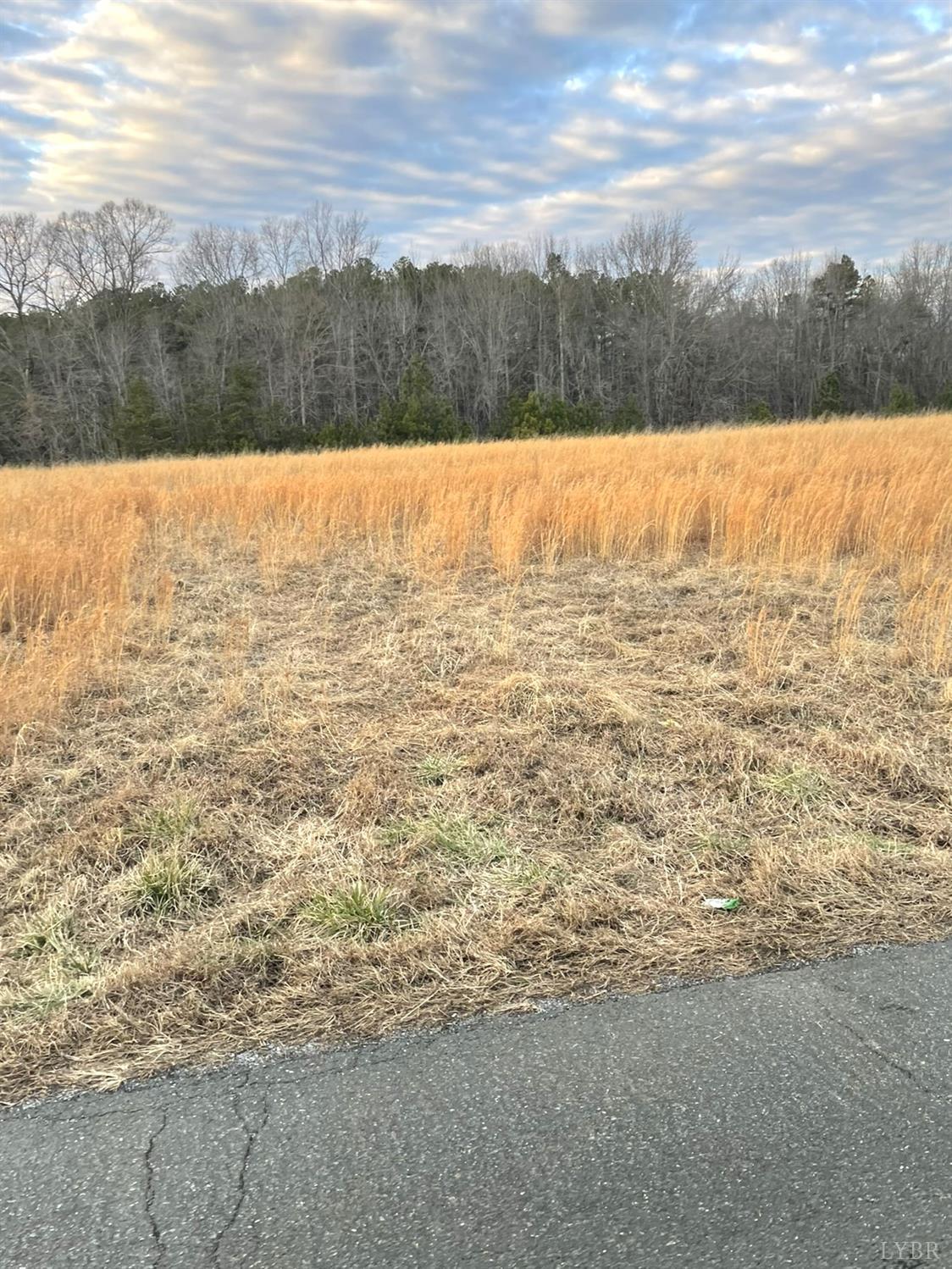 12 Sugar Hill Road Brookneal, VA 24528 - Photo 5 of 12