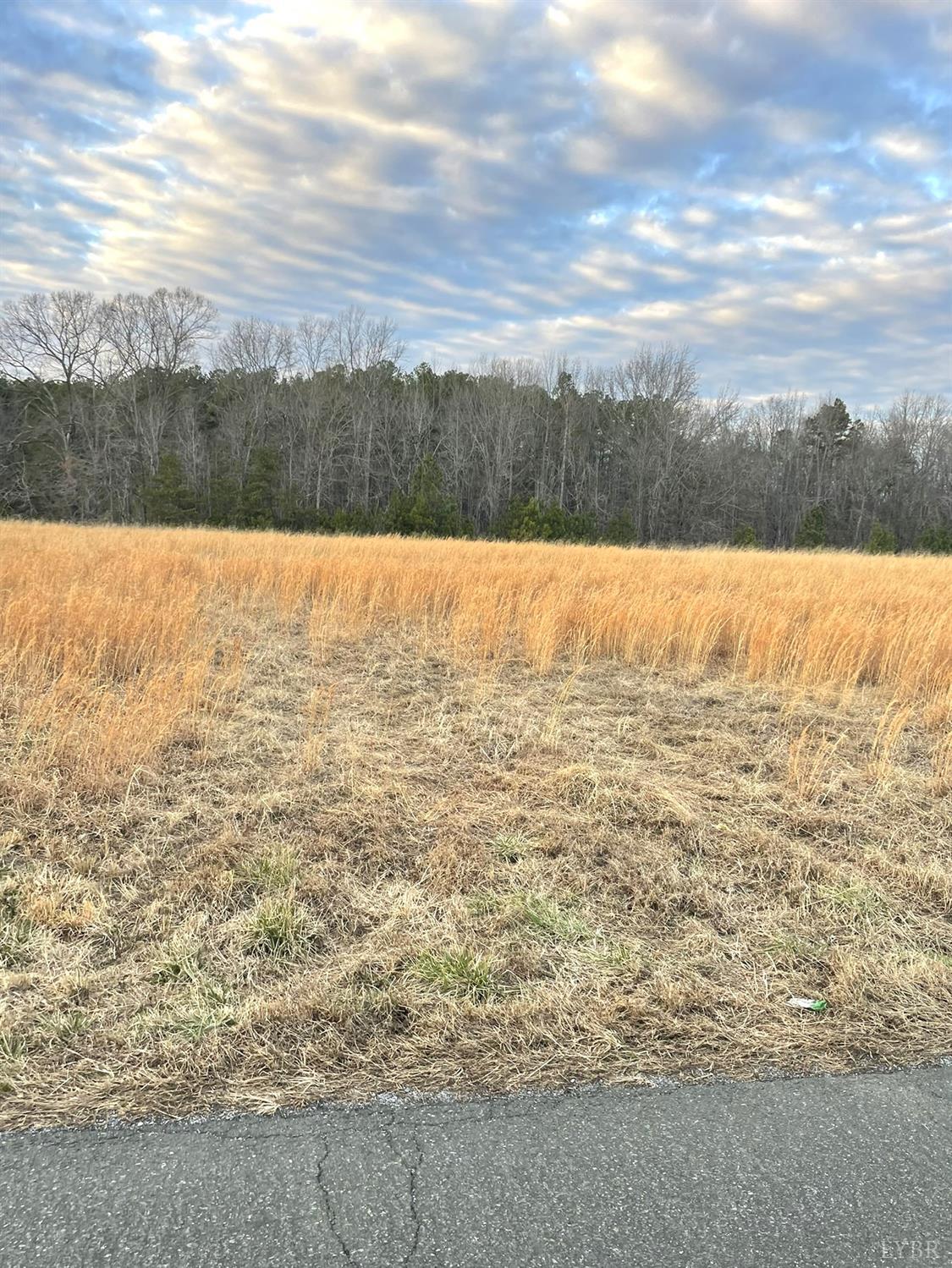 12 Sugar Hill Road Brookneal, VA 24528 - Photo 6 of 12