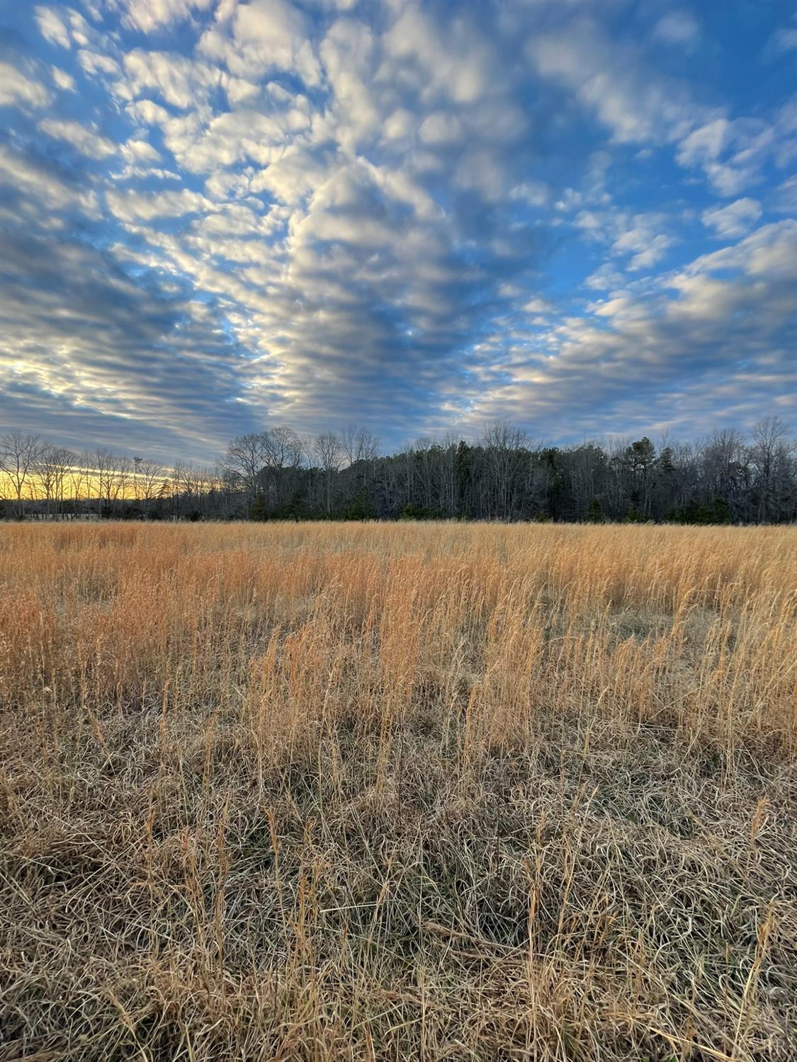 12 Sugar Hill Road Brookneal, VA 24528 - Photo 10 of 12
