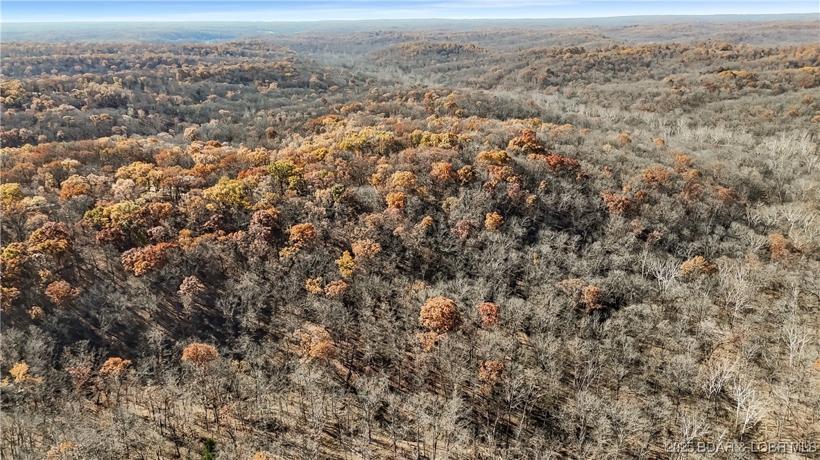 16376 Twisted Tree Road Barnett, MO 65011 - Photo 26 of 48 Virgin timber on 23+ acres