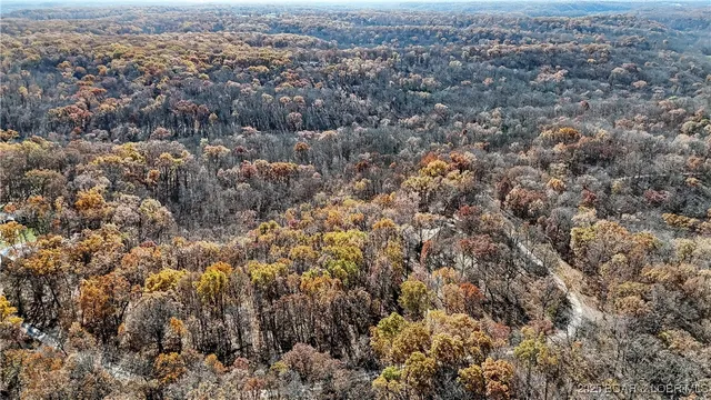 $310,000 | 16376 Twisted Tree Road, Barnett, MO 65011