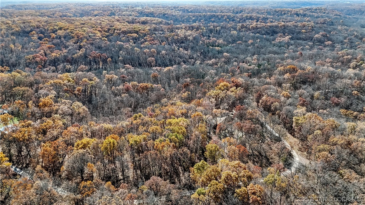 16376 Twisted Tree Road Barnett, MO 65011 - Photo 27 of 48 Great mix of trees