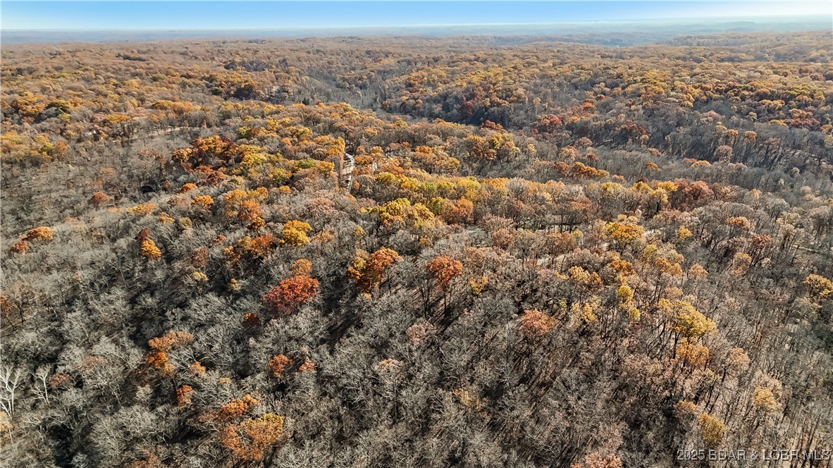 16376 Twisted Tree Road Barnett, MO 65011 - Photo 28 of 48 Gentle terrian