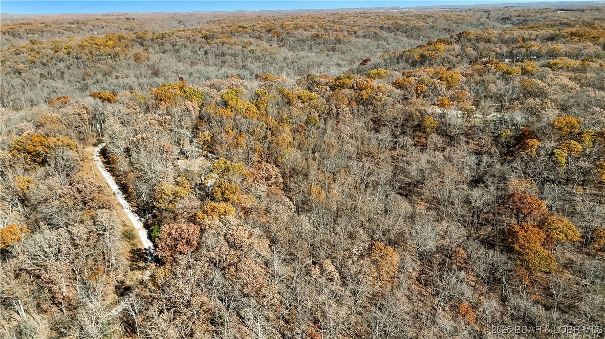 16376 Twisted Tree Road Barnett, MO 65011 - Photo 42 of 48 Gravel road splits 23+ acres