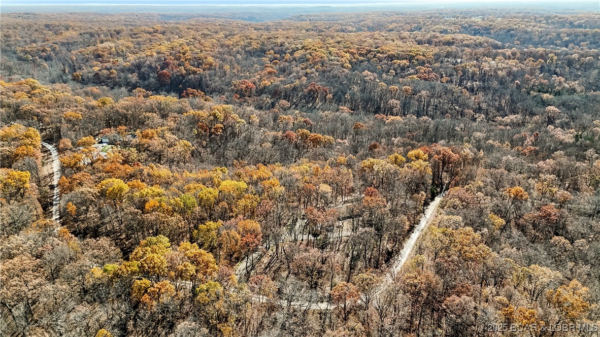 16376 Twisted Tree Road Barnett, MO 65011 - Photo 45 of 48 Beautiful !