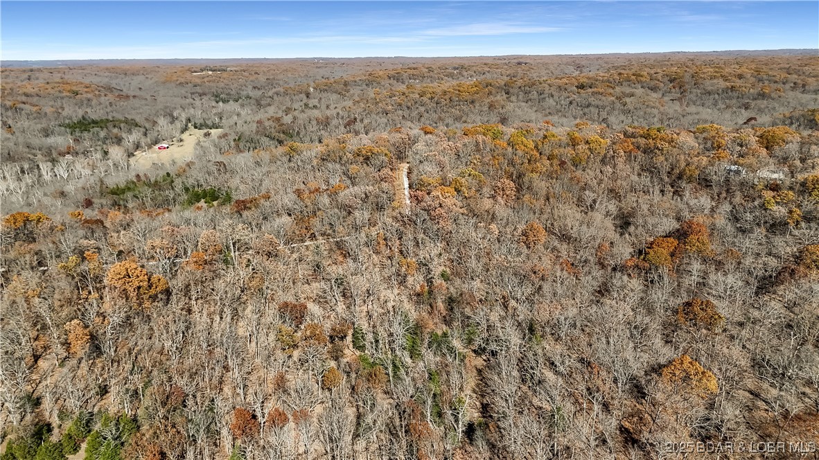 16376 Twisted Tree Road Barnett, MO 65011 - Photo 46 of 52 Land can be cleared to homestead