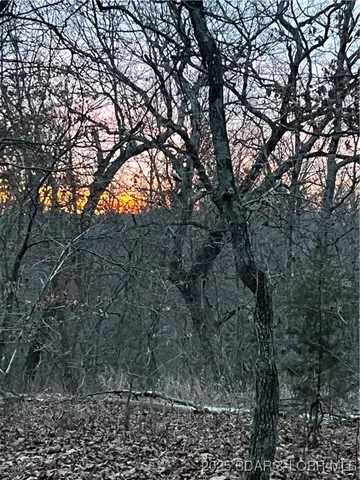 $310,000 | 16376 Twisted Tree Road, Barnett, MO 65011