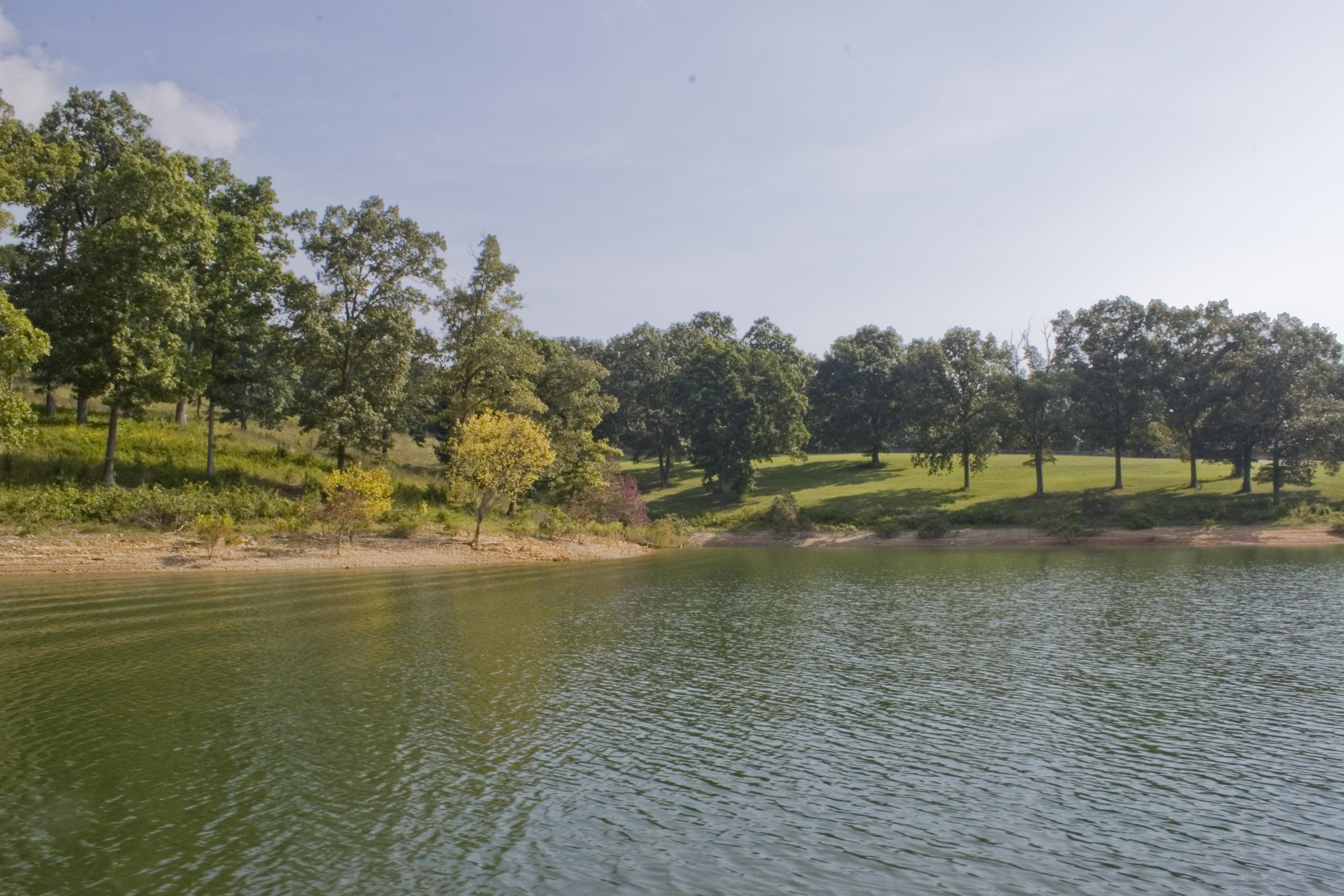 244 Hampton Drive Rutledge, TN 37861 - Photo 4 of 16 View from dock