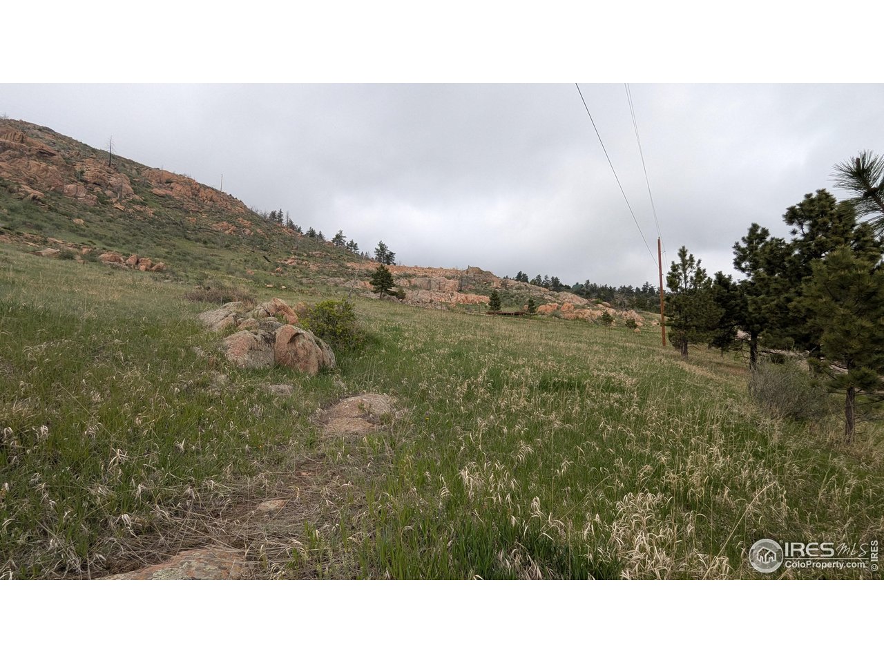 1191 Eiger Road Livermore, CO 80536 - Photo 12 of 17 a black and white photo of a house
