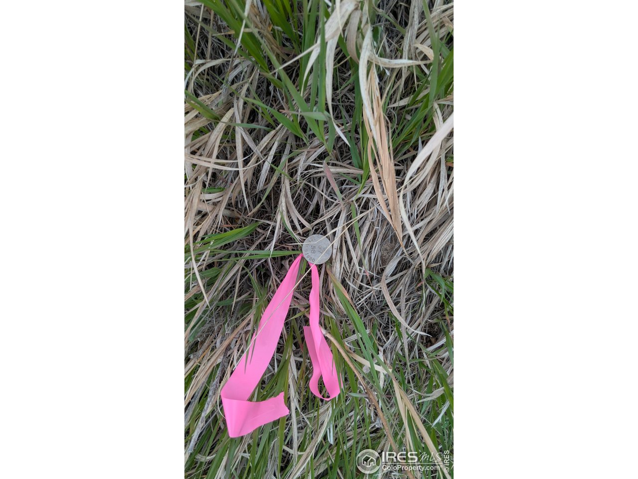 1191 Eiger Road Livermore, CO 80536 - Photo 13 of 17