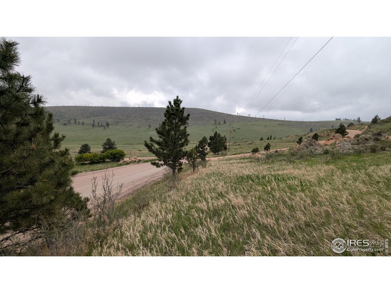 1191 Eiger Road Livermore, CO 80536 - Photo 15 of 17 a black and white photo of a field