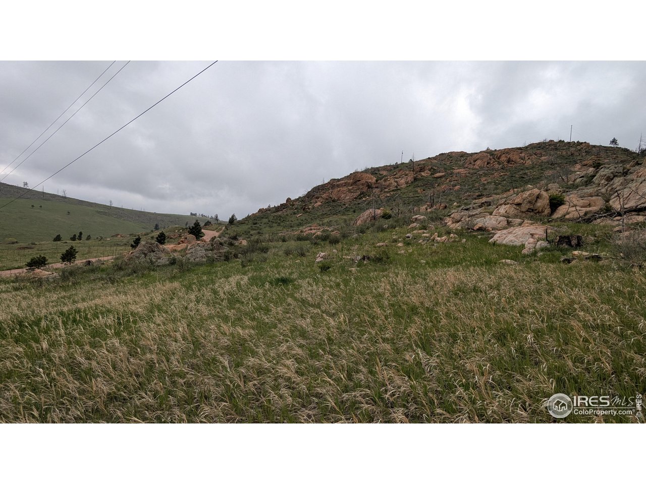 1191 Eiger Road Livermore, CO 80536 - Photo 16 of 17 a open area with trees in the background