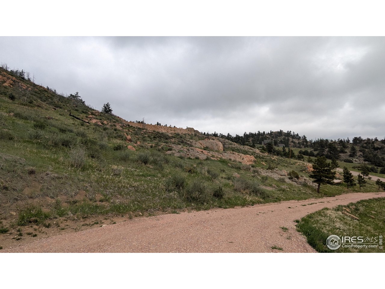 1191 Eiger Road Livermore, CO 80536 - Photo 2 of 17 a outdoor view