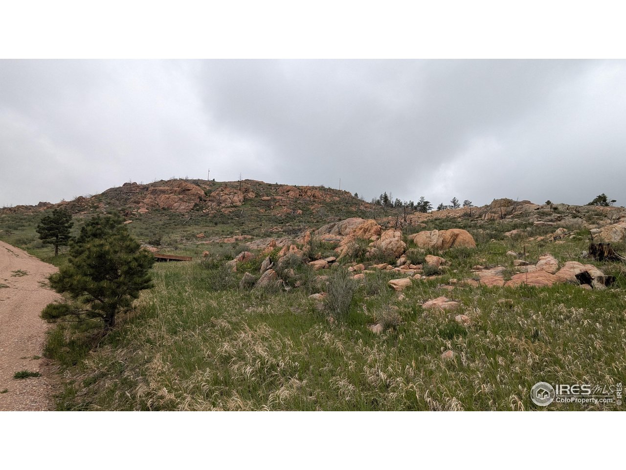 1191 Eiger Road Livermore, CO 80536 - Photo 10 of 17 a black and white photo of a field