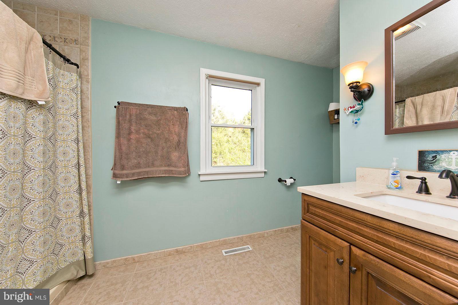 116 Blue Ridge Lane White Post, VA 22663 - Photo 19 of 55 Large primary bathroom