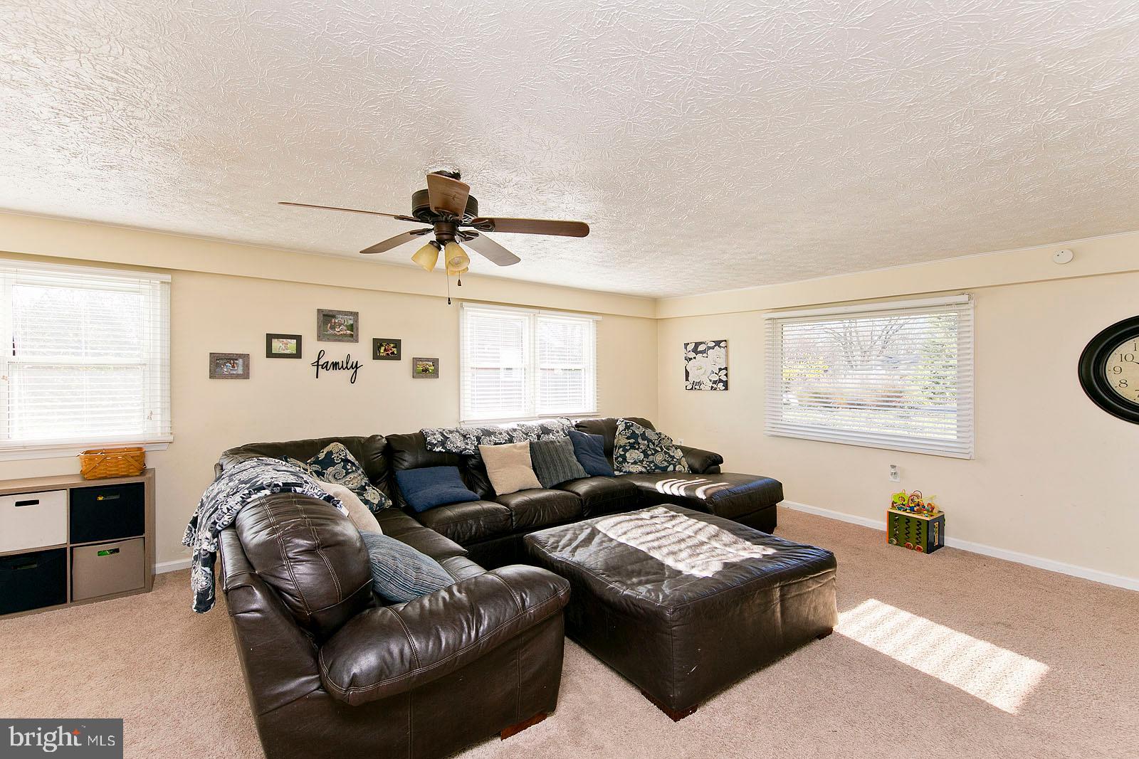 116 Blue Ridge Lane White Post, VA 22663 - Photo 20 of 55 Gigantic famlly room