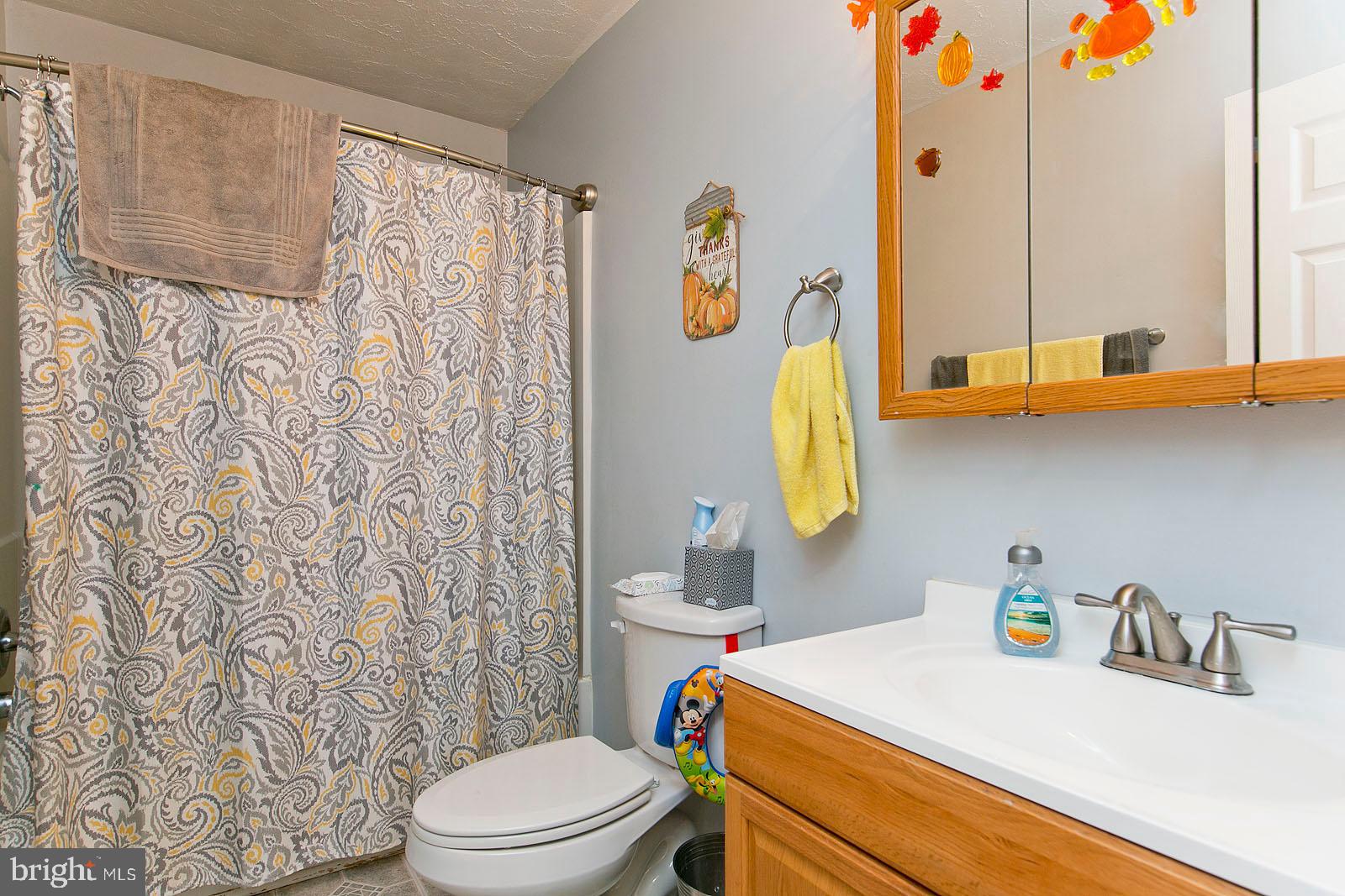 116 Blue Ridge Lane White Post, VA 22663 - Photo 32 of 55 Gallery Image 32