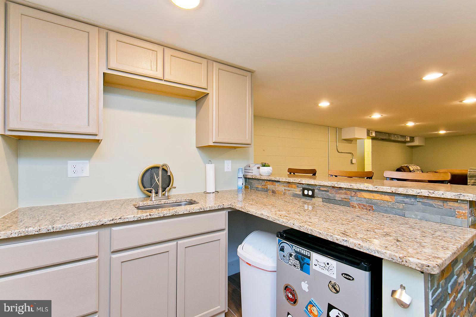 116 Blue Ridge Lane White Post, VA 22663 - Photo 44 of 55 Kitchenette in the bar area. What a bonus!