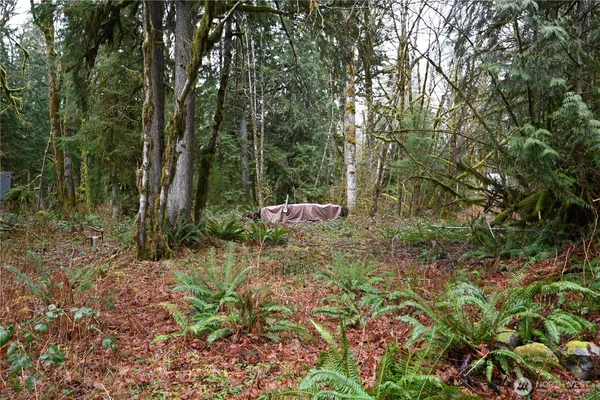 $55,000 | 63645 Northeast 190th Street, Gold Bar, WA 98251