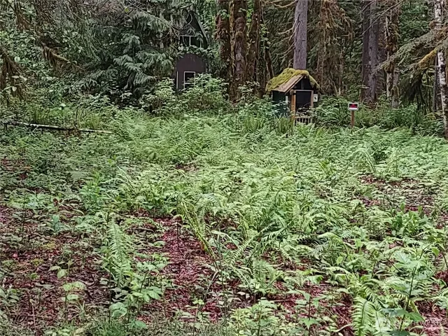 a view of a yard with a tree