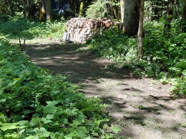 $55,000 | 63645 Northeast 190th Street, Gold Bar, WA 98251