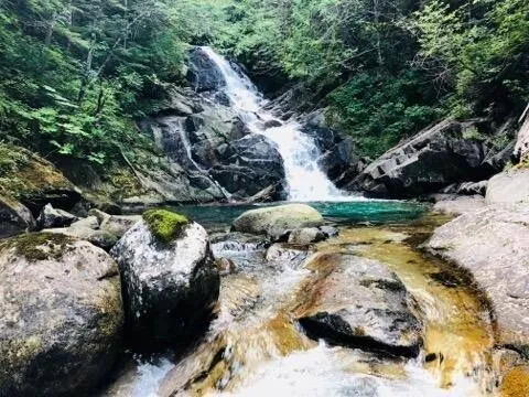 a view of a back yard