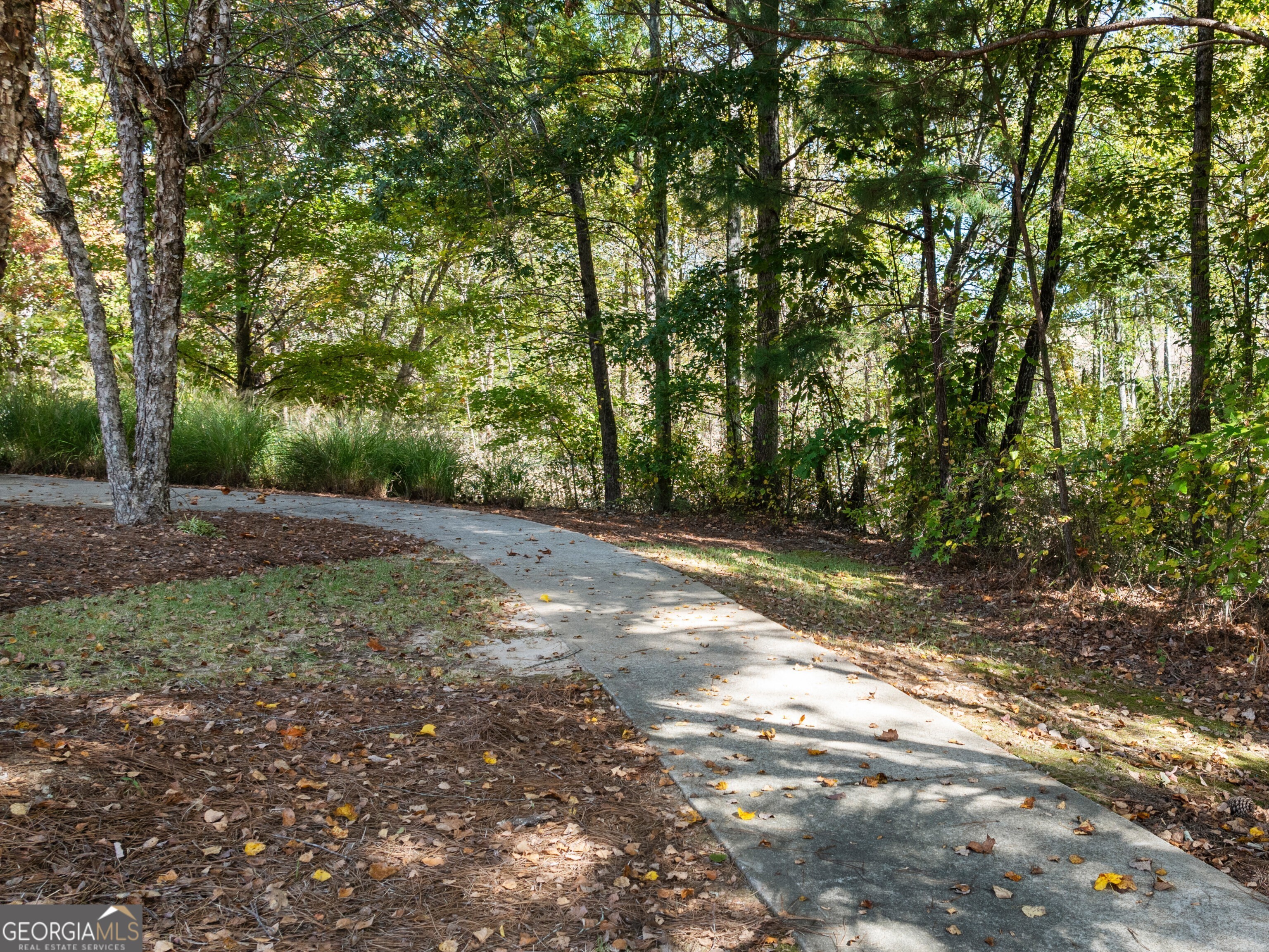 156 Hampton Drive Dallas, GA 30132 - Photo 69 of 81