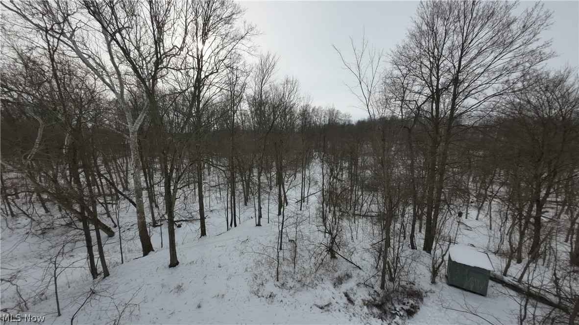 937 Chenango Road Wakeman, OH 44889 - Photo 11 of 18 View of snowy yard