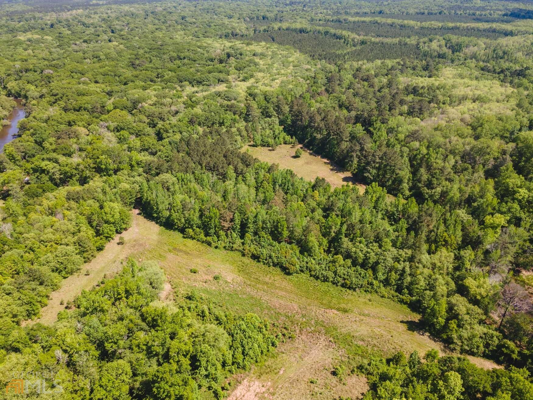 0 Old River Road South, Unit LOT 31 Brooklet, GA 30415 - Photo 4 of 4